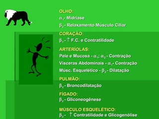 OLHO:OLHO:
αα11- Midríase- Midríase
ββ22 - Relaxamento Músculo Ciliar- Relaxamento Músculo Ciliar
CORAÇÃO:CORAÇÃO:
ββ11 -- ↑↑ F.C. e ContratilidadeF.C. e Contratilidade
ARTERÍOLAS:ARTERÍOLAS:
Pele e Mucosa -Pele e Mucosa - αα11;; αα22 - Contração- Contração
Vísceras Abdominais -Vísceras Abdominais - αα11- Contração- Contração
Músc. Esquelético -Músc. Esquelético - ββ22 - Dilatação- Dilatação
PULMÃO:PULMÃO:
ββ22 - Broncodilatação- Broncodilatação
FÍGADO:FÍGADO:
ββ22 - Gliconeogênese- Gliconeogênese
MÚSCULO ESQUELÉTICO:MÚSCULO ESQUELÉTICO:
ββ22 -- ↑↑ Contratilidade e GlicogenóliseContratilidade e Glicogenólise
 