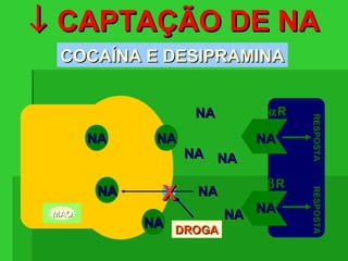↓↓ CAPTAÇÃO DE NACAPTAÇÃO DE NA
COCAÍNA E DESIPRAMINACOCAÍNA E DESIPRAMINA
NANA
MAOMAO
ααRR
ββRR
RESPOSTARESPOSTARESPOSTARESPOSTA
NANA
NANA
NANANANA
NANA
NANANANA
NANA
NANANANA
NANA
NANA
DROGADROGA
XX
 