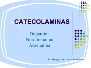 CATECOLAMINAS
Dopamina
Noradrenalina
Adrenalina
Br. Margely Adriana Cauich Dzul
 