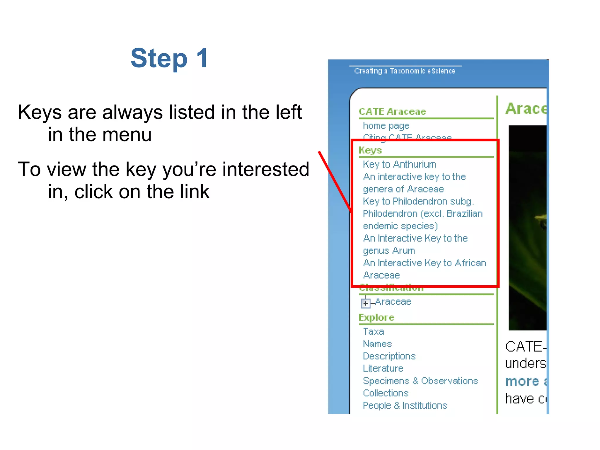 Step 1 Keys are always listed in the left in the menu To view the key you’re interested in, click on the link 