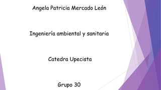 Angela Patricia Mercado León 
Ingeniería ambiental y sanitaria 
Catedra Upecista 
Grupo 30 
 