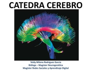CATEDRA CEREBRO
Yeldy Milena Rodriguez Garcia
Bióloga – Magister Neurogenética
Magister Redes Sociales y Aprendizaje Digital
 
