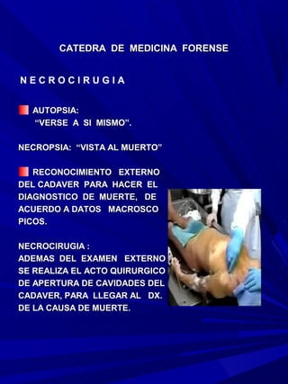 CATEDRA DE MEDICINA FORENSE


NECROCIRUGIA


  AUTOPSIA:
  “VERSE A SI MISMO”.

NECROPSIA: “VISTA AL MUERTO”

   RECONOCIMIENTO EXTERNO
DEL CADAVER PARA HACER EL
DIAGNOSTICO DE MUERTE, DE
ACUERDO A DATOS MACROSCO
PICOS.

NECROCIRUGIA :
ADEMAS DEL EXAMEN EXTERNO
SE REALIZA EL ACTO QUIRURGICO
DE APERTURA DE CAVIDADES DEL
CADAVER, PARA LLEGAR AL DX.
DE LA CAUSA DE MUERTE.
 