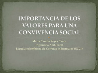 María Camila Reyes Cante
              Ingeniería Ambiental
Escuela colombiana de Carreras Industriales (ECCI)
 