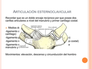 ARTICULACIÓN ESTERNOCLAVICULAR
Recordar que es un doble encaje recíproco por que posee dos
carillas articulares a nivel del manubrio y primer cartílago costal.
 Medios de unión:
-ligamento anterior (borde ant clavícula al esternón y 1°
cartílago)
-ligamento posterior (borde post de clavícula a manubrio)
-ligamento inferior (desde cara inf de clavícula a cartílago costal)
-ligamento superior (fibras cortas-cara sup de clavícula a
manubrio y largas interclavicular)
Movimientos: elevación, descenso y circunducción del hombro
 