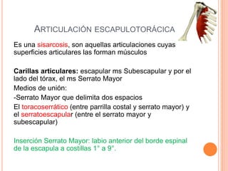 ARTICULACIÓN ESCAPULOTORÁCICA
Es una sisarcosis, son aquellas articulaciones cuyas
superficies articulares las forman músculos
Carillas articulares: escapular ms Subescapular y por el
lado del tórax, el ms Serrato Mayor
Medios de unión:
-Serrato Mayor que delimita dos espacios
El toracoserrático (entre parrilla costal y serrato mayor) y
el serratoescapular (entre el serrato mayor y
subescapular)
Inserción Serrato Mayor: labio anterior del borde espinal
de la escapula a costillas 1° a 9°.
 
