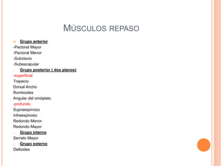 MÚSCULOS REPASO
 Grupo anterior
-Pectoral Mayor
-Pectoral Menor
-Subclavio
-Subescapular
o Grupo posterior ( dos planos)
-superficial
Trapecio
Dorsal Ancho
Romboides
Angular del omóplato
-profundo
Supraespinoso
Infraespinoso
Redondo Menor
Redondo Mayor
o Grupo interno
Serrato Mayor
o Grupo externo
Deltoides
 