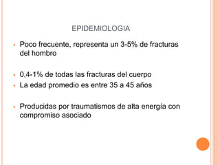  Poco frecuente, representa un 3-5% de fracturas
del hombro
 0,4-1% de todas las fracturas del cuerpo
 La edad promedio es entre 35 a 45 años
 Producidas por traumatismos de alta energía con
compromiso asociado
EPIDEMIOLOGIA
 