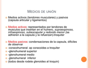 MEDIOS DE UNIÓN
 Medios activos (tendones musculares) y pasivos
(capsula articular y ligamentos)
 Medios activos: representados por tendones de
musculos que insertan en el humero, supraespinoso,
infraespinoso, subescapular y redondo menor (se
adhieren a la capsula y la refuerzan)-troquiter
 Medios pasivos: condensaciones de la capsula, dificiles
de observar
 -coracohumeral: ap coracoides a troquiter
 -glenohumeral superior
 -glenohumeral medio
 .glenohumeral inferior
 (todos desde rodete glenoideo al troquin)
 