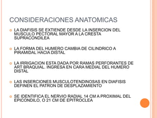 CONSIDERACIONES ANATOMICAS
 LA DIAFISIS SE EXTIENDE DESDE LA INSERCION DEL
MUSCULO PECTORAL MAYOR A LA CRESTA
SUPRACONDILEA
 LA FORMA DEL HUMERO CAMBIA DE CILINDRICO A
PIRAMIDAL HACIA DISTAL
 LA IRRIGACION ESTA DADA POR RAMAS PERFORANTES DE
ART BRAQUIAL. INGRESA EN CARA MEDIAL DEL HUMERO
DISTAL
 LAS INSERCIONES MUSCULOTENDINOSAS EN DIAFISIS
DEFINEN EL PATRON DE DESPLAZAMIENTO
 SE IDENTIFICA EL NERVIO RADIAL 14 CM A PROXIMAL DEL
EPICONDILO, O 21 CM DE EPITROCLEA
 