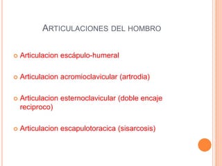 ARTICULACIONES DEL HOMBRO
 Articulacion escápulo-humeral
 Articulacion acromioclavicular (artrodia)
 Articulacion esternoclavicular (doble encaje
reciproco)
 Articulacion escapulotoracica (sisarcosis)
 