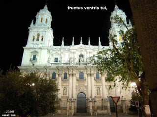 Jaén
fructus ventris tui,
 