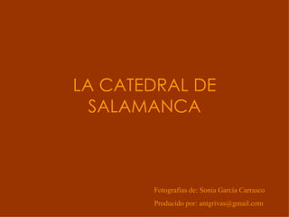 LA CATEDRAL DE SALAMANCA Fotografías de: Sonia García Carrasco Producido por: antgrivas@gmail.com  