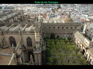 Patio de los Naranjos

 