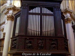 Órgano de la Catedral 