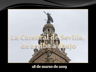 La Catedral de Sevilla, de arriba a abajo