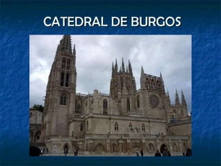 CATEDRAL DE BURGOS 