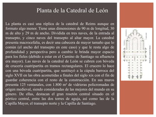 Planta de la Catedral de León
La planta es casi una réplica de la catedral de Reims aunque en
formato algo menor. Tiene unas dimensiones de 90 m de longitud, 30
m de alto y 29 m de ancho. Dividida en tres naves, de la entrada al
transepto, y cinco naves del transepto al altar mayor. La catedral
presenta macrocefalia, es decir una cabecera de mayor tamaño que lo
común (el ancho del transepto en este caso) y que le resta algo de
profundidad y perspectiva pero a cambio le brinda mayor espacio
para los fieles (debido a estar en el Camino de Santiago su afluencia
era mayor). Las naves de la catedral de León se cubren con bóveda
de crucería cuatripartita en tramos rectangulares. El crucero lo hace
con una bóveda cuatripartita, que sustituyó a la cúpula barroca del
siglo XVII en las obra acometidas a finales del siglo xix con el fin de
guardar coherencia con el resto de la construcción. En sus muros
presenta 125 ventanales, con 1.800 m² de vidrieras policromadas de
origen medieval, siendo consideradas de las mejores del mundo en su
género. De ellas, destacan el gran rosetón central situado en el
pórtico central, entre las dos torres de aguja, así como las de la
Capilla Mayor, el transepto norte y la Capilla de Santiago.
 