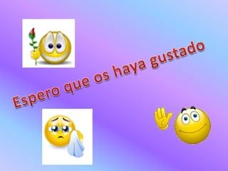 Catedral de pamplona (navarra)