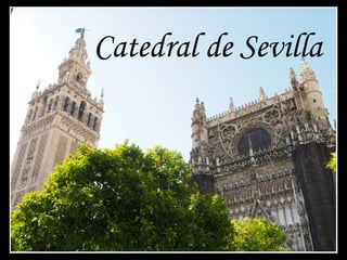 Catedral de Sevilla 
 