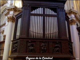 Órgano de la Catedral
 