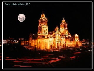 Catedral de México, D.F. 