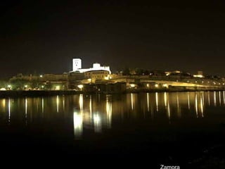 Zamora 