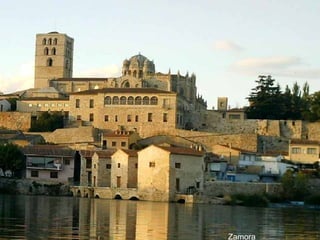 Zamora 