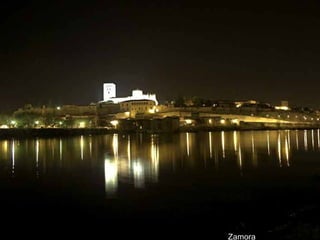 Zamora 