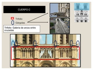 CUERPO C
Trifolio: Galería de arcos entre
cruzadas
Trifolio
Gárgolas
 