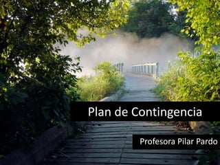 Plan de Contingencia
Profesora Pilar Pardo
 