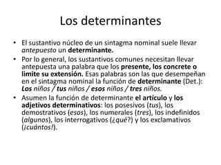 Los determinantes
• El sustantivo núcleo de un sintagma nominal suele llevar
antepuesto un determinante.
• Por lo general, los sustantivos comunes necesitan llevar
antepuesta una palabra que los presente, los concrete o
limite su extensión. Esas palabras son las que desempeñan
en el sintagma nominal la función de determinante (Det.):
Los niños / tus niños / esos niños / tres niños.
• Asumen la función de determinante el artículo y los
adjetivos determinativos: los posesivos (tus), los
demostrativos (esos), los numerales (tres), los indefinidos
(algunos), los interrogativos (¿qué?) y los exclamativos
(¡cuántos!).
 