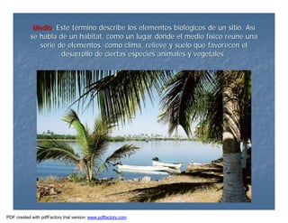 MedioMedio. Este t. Este téérmino describe los elementos biolrmino describe los elementos biolóógicos de un sitio. Asgicos de un sitio. Asíí
se habla de un hse habla de un háábitat, como un lugar donde el medio fbitat, como un lugar donde el medio fíísico resico reúúne unane una
serie de elementos, como clima, relieve y suelo que favorecen elserie de elementos, como clima, relieve y suelo que favorecen el
desarrollo de ciertas especies animales y vegetales.desarrollo de ciertas especies animales y vegetales.
PDF created with pdfFactory trial version www.pdffactory.com
 