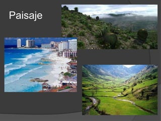 Paisaje