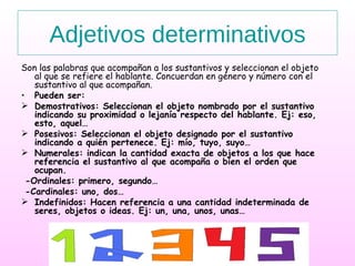 Son las palabras que acompañan a los sustantivos y seleccionan el objeto al que se refiere el hablante. Concuerdan en género y número con el sustantivo al que acompañan. Pueden ser: Demostrativos: Seleccionan el objeto nombrado por el sustantivo indicando su proximidad o lejanía respecto del hablante. Ej: eso, esto, aquel… Posesivos: Seleccionan el objeto designado por el sustantivo indicando a quién pertenece. Ej: mío, tuyo, suyo… Numerales: indican la cantidad exacta de objetos a los que hace referencia el sustantivo al que acompaña o bien el orden que ocupan. -Ordinales: primero, segundo… -Cardinales: uno, dos…  Indefinidos: Hacen referencia a una cantidad indeterminada de seres, objetos o ideas. Ej: un, una, unos, unas…  Adjetivos determinativos 