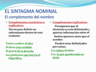 EL SINTAGMA NOMINAL
El complemento del nombre
 Complementos restrictivos o    Complementos explicativos
  explicativos                     Presuponen que el
  Sirven para definir un         elemento ya está delimitado y
  subconjunto dentro de este     aportan información sobre él
  conjunto                        Suelen aparecer antes que el
                                 nombre
Varios cuadros al óleo             Pueden estar delimitados
El disco más vendido             por comas.
El portal de la derecha         Los sabios druidas
Los pimientos que hay en el     Eva, la que aprobó todo en
   frigorífico.                  junio
 