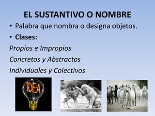 EL SUSTANTIVO O NOMBRE
• Palabra que nombra o designa objetos.
• Clases:
Propios e Impropios
Concretos y Abstractos
Individuales y Colectivos
 