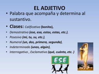 EL ADJETIVO
• Palabra que acompaña y determina al
  sustantivo.
• Clases: Calificativo (bonito),
•   Demostrativo (ese, esa, estos, estas, etc.),
•   Posesivo (mi, tu, su, etc.),
•   Numeral (un, dos, primera, segunda),
•   Indeterminado (unos, algún),
•   Interrogativo , Exclamativo (qué, cuánto, etc. )
 