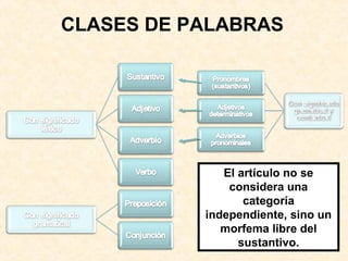 El artículo no se
considera una
categoría
independiente, sino un
morfema libre del
sustantivo.
CLASES DE PALABRAS
 