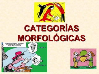 CATEGORÍASCATEGORÍAS
MORFOLÓGICASMORFOLÓGICAS
 