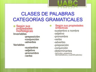 CLASES DE PALABRAS
CATEGORÍAS GRAMATICALES
 Según sus
propiedades
morfológicas
Invariables
-preposición
-conjunción
-adverbio
Variables
-sustantivo
-adjetivo
-pronombre
-verbo
 Según sus propiedades
sintácticas
-sustantivo o nombre
-adjetivo
-pronombre
-verbo
-adverbio
-preposición
-conjunción
-determinantes
(artículos, posesivos,
demostrativos y cuantificadores)
 