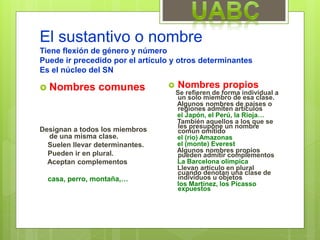 El sustantivo o nombre
Tiene flexión de género y número
Puede ir precedido por el artículo y otros determinantes
Es el núcleo del SN
 Nombres comunes
Designan a todos los miembros
de una misma clase.
Suelen llevar determinantes.
Pueden ir en plural.
Aceptan complementos
casa, perro, montaña,…
 Nombres propios
Se refieren de forma individual a
un solo miembro de esa clase.
Algunos nombres de países o
regiones admiten artículos
el Japón, el Perú, la Rioja…
También aquellos a los que se
les presupone un nombre
común omitido
el (río) Amazonas
el (monte) Everest
Algunos nombres propios
pueden admitir complementos
La Barcelona olímpica
Llevan artículo en plural
cuando denotan una clase de
individuos u objetos
los Martínez, los Picasso
expuestos
 