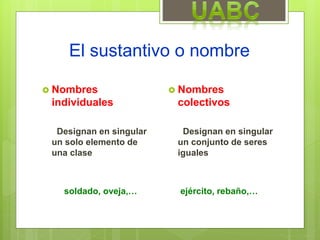 El sustantivo o nombre
 Nombres
individuales
Designan en singular
un solo elemento de
una clase
soldado, oveja,…
 Nombres
colectivos
Designan en singular
un conjunto de seres
iguales
ejército, rebaño,…
 