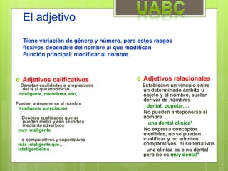 El adjetivo
Tiene variación de género y número, pero estos rasgos
flexivos dependen del nombre al que modifican
Función principal: modificar al nombre
 Adjetivos calificativos
Denotan cualidades o propiedades
del N al que modifican.
inteligente, melodiosa, alto,…
Pueden anteponerse al nombre
inteligente apreciación
Denotan cualidades que se
pueden medir y eso se indica
mediante adverbios
muy inteligente
o comparativos y superlativos
más inteligente que…
inteligentísimo
 Adjetivos relacionales
Establecen un vínculo entre
un determinado ámbito u
objeto y el nombre, suelen
derivar de nombres
dental, popular,…
No pueden anteponerse al
nombre
una dental clínica*
No expresa conceptos
medibles, no se pueden
cualificar y no admiten
comparativos, ni superlativos
una clínica es o no dental
pero no es muy dental*
 