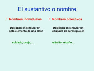 El sustantivo o nombre Nombres individuales Designan en singular un solo elemento de una clase soldado, oveja,… Nombres colectivos Designan en singular un conjunto de seres iguales ejército, rebaño,… 
