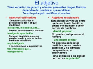 El adjetivo Tiene variación de género y número, pero estos rasgos flexivos dependen del nombre al que modifican Función principal: modificar al nombre Adjetivos calificativos Denotan cualidades o propiedades del N al que modifican inteligente, melodiosa, alto,… Pueden anteponerse al nombre inteligente apreciación Denotan cualidades que se pueden medir y eso se indica mediante adverbios muy inteligente o comparativos y superlativos más inteligente que… inteligentísimo Adjetivos relacionales Establecen un vínculo entre un determinado ámbito u objeto y el nombre, suelen derivar de nombres dental, popular,… No pueden anteponerse al nombre una   dental clínica* No expresa conceptos medibles, no se pueden cualificar y no admiten comparativos, ni superlativos una clínica es o no dental pero no es  muy dental* 
