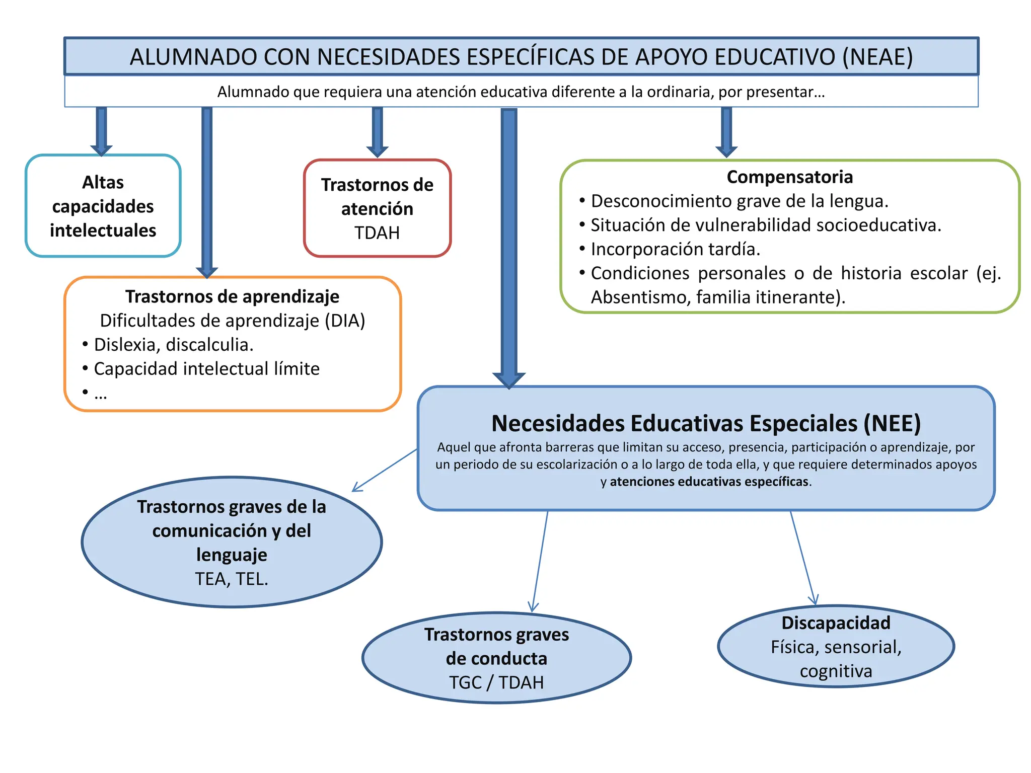 Categorías NEAE necesidades especificas de apoyo educativo | PDF