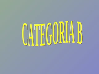 CATEGORIA B 