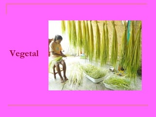 Vegetal   