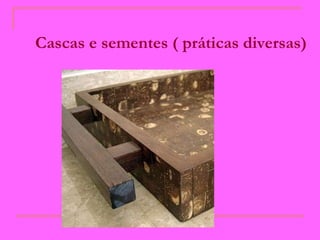 Cascas e sementes ( práticas diversas)   